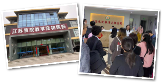 QQ截圖20210426081738