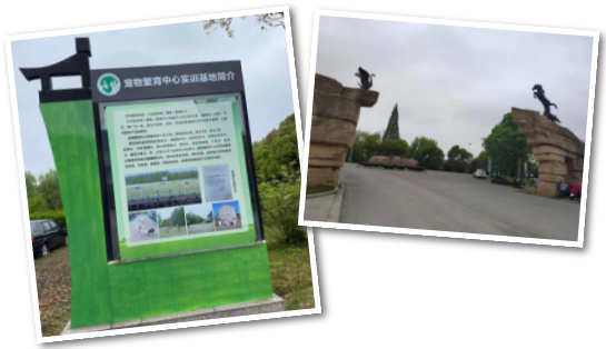 QQ截圖20210426081838