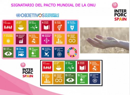 點(diǎn)擊打開(kāi)原圖 微信圖片_20210715080527